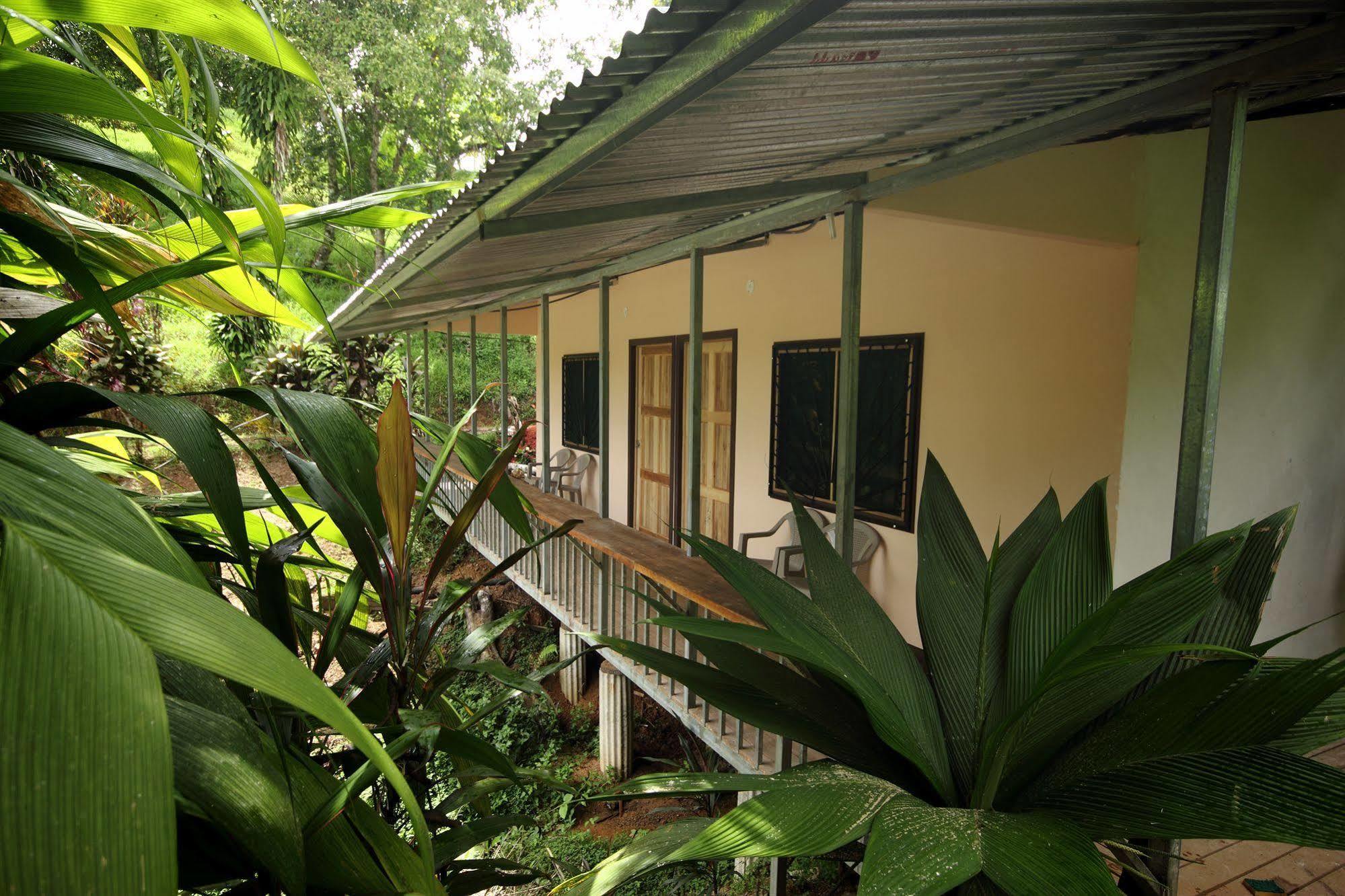 Hotel Rancho Corcovado Drake Bay Luaran gambar